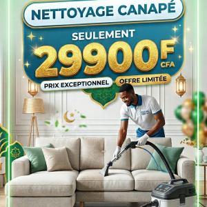 Nettoyage Canapé à 29900 F